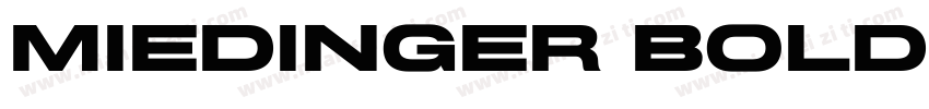 Miedinger Bold字体转换
